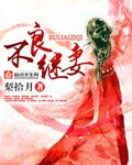 不良继妻